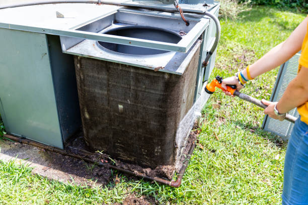 Air Duct Mold Removal in NJ