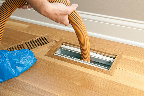Best Air Duct Sanitizing Services  in Seaville, NJ